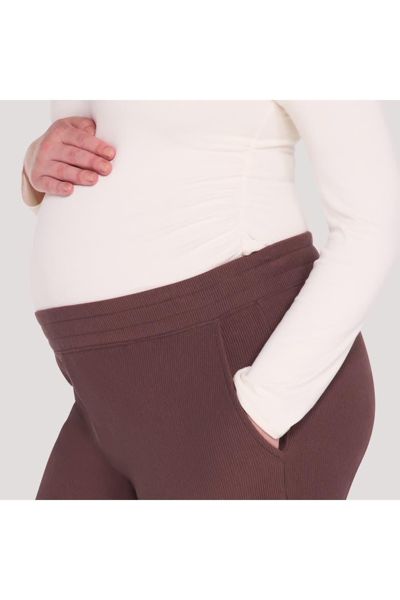 Under the Belly Cozy Jogger, Alternate, color, French Roast