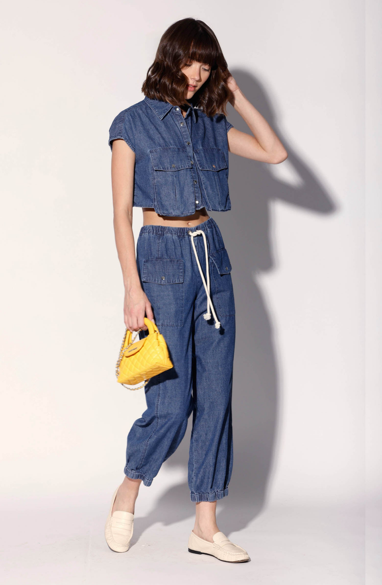 Walter Baker Brenner Pant, Alternate, color,