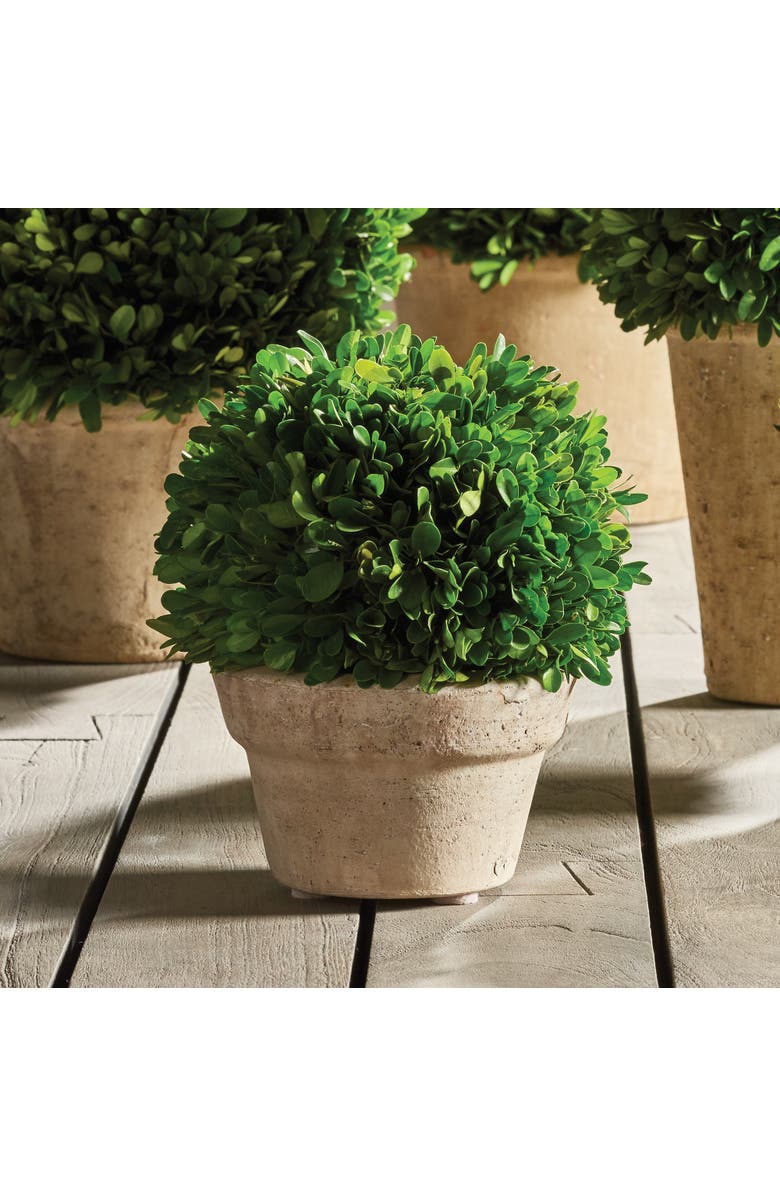 Napa Home & Garden Boxwood Ball In Pot Medium, Alternate, color, Beige
