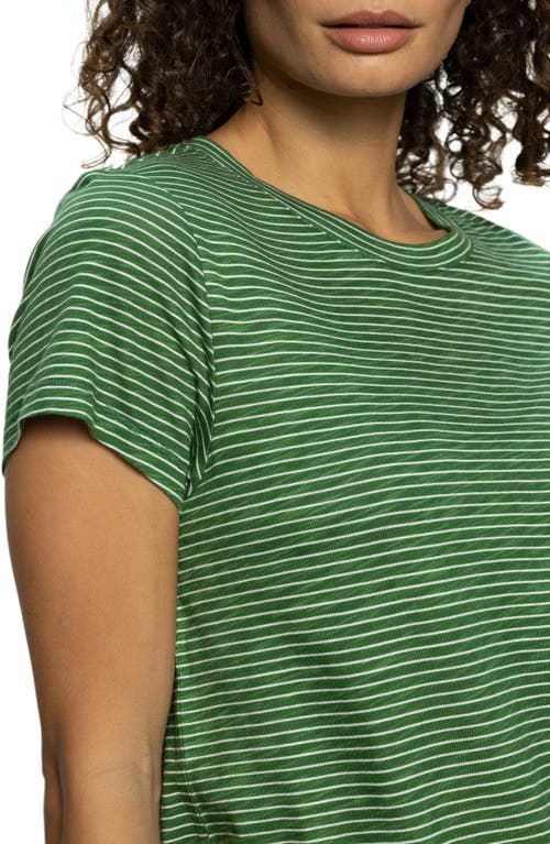 Shop Sanctuary The Perfect T-shirt In Palm Chalk