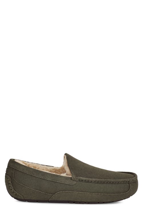 Ugg Ascot Slipper