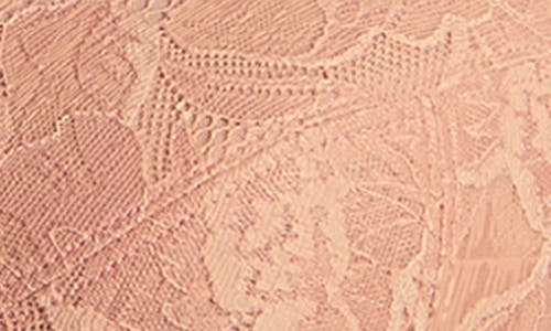 Shop Panache Rocha Wire Free Lace Bra In Misty Rose
