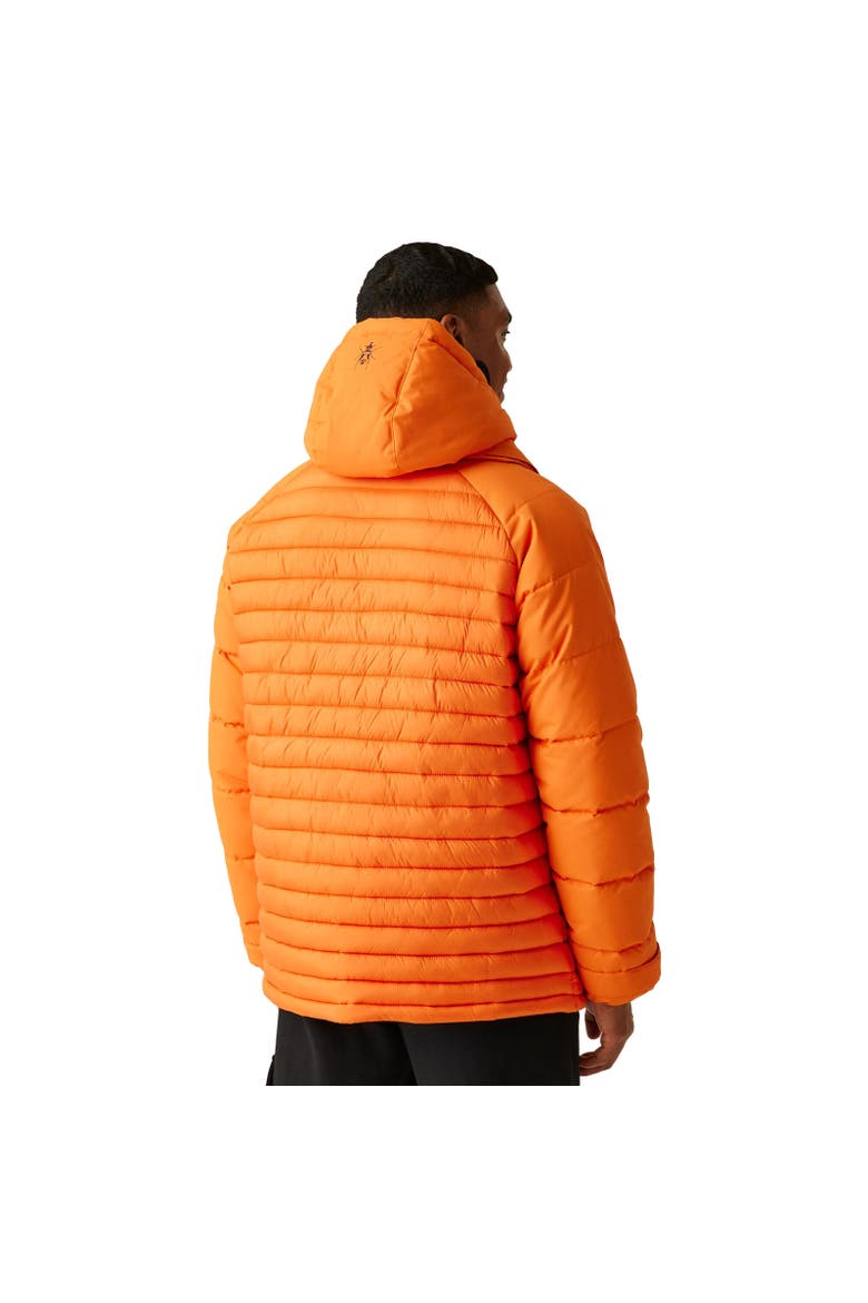 Christian Lacroix Congenies Short Padded Jacket, Alternate, color, Carrot