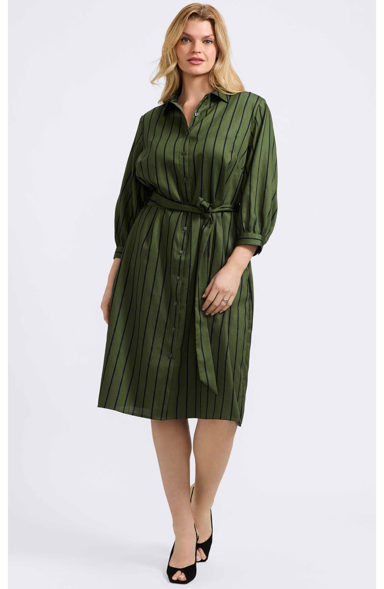 Foxcroft Esther Stripe Cotton Shirtdress, Alternate, color, Basil Green/ Black