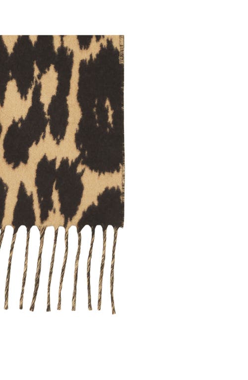 Lanvin Leopard Print Wool Scarf In Brown