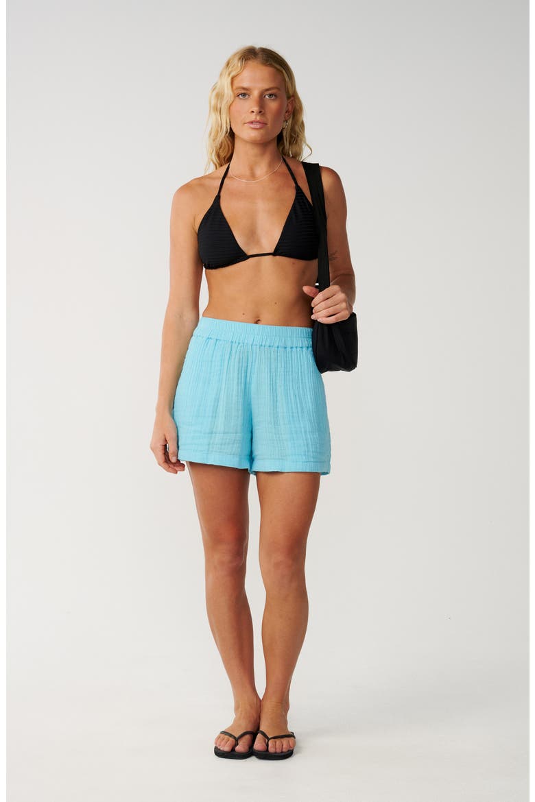 Premium Surf Shorts, Alternate, color, SKY BLUE