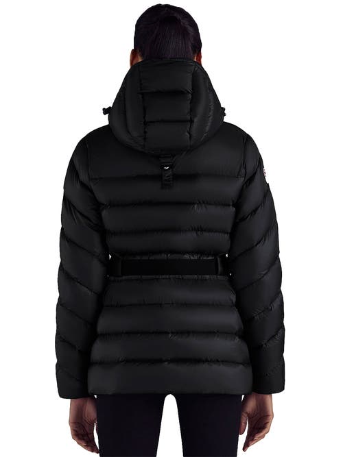 Triple F.a.t. Goose Puffer Down Belted Jacket In Black