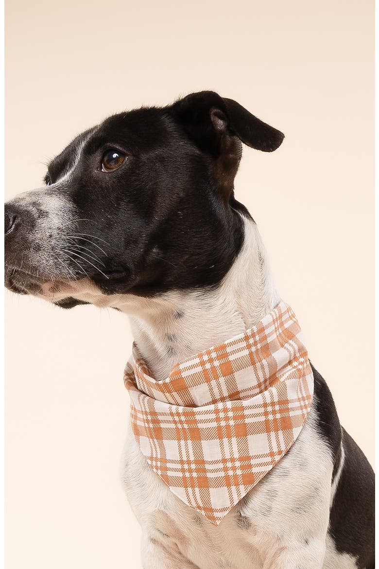Ginger Dog Bandana, Alternate, color, ORANGE