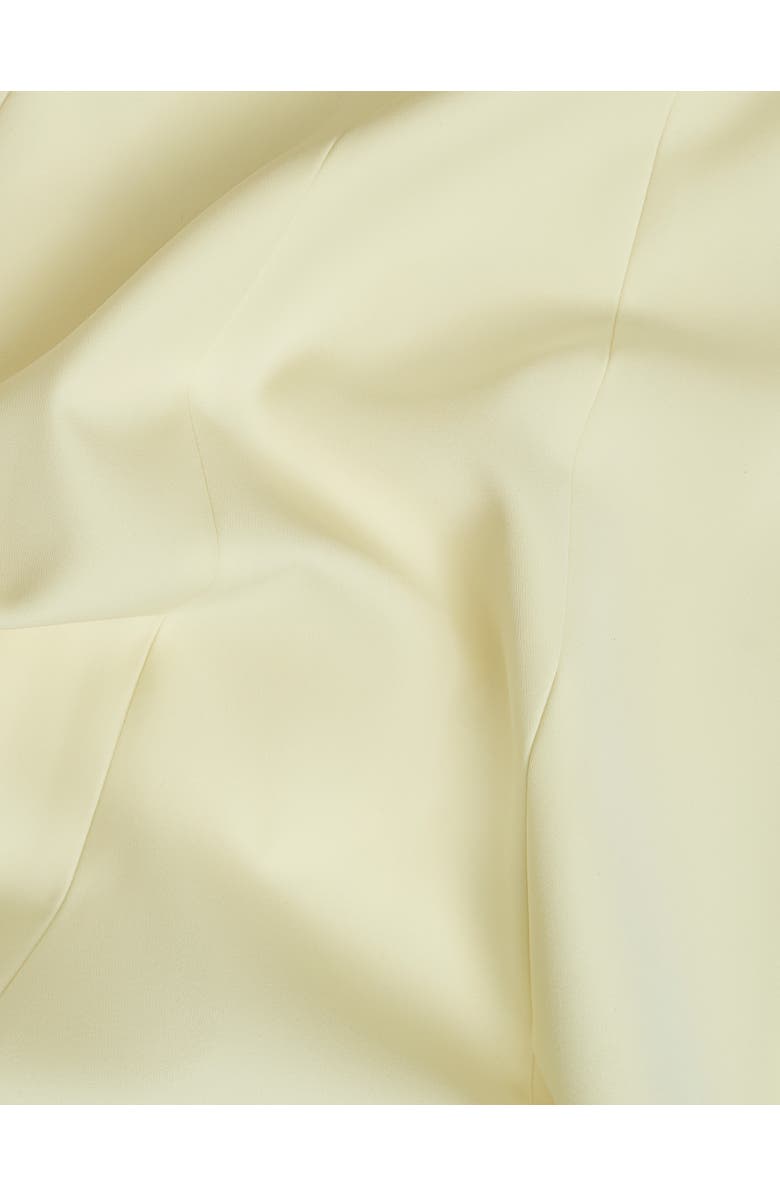 HOBBS LONDON Eliana Fit Flare Midi Dress, Alternate, color, Pale Yellow