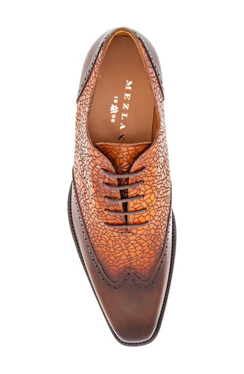 Mezlan Patina Laser Wingtip Oxford