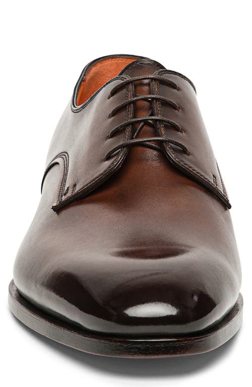 Santoni Archer Derby In Dark Brown