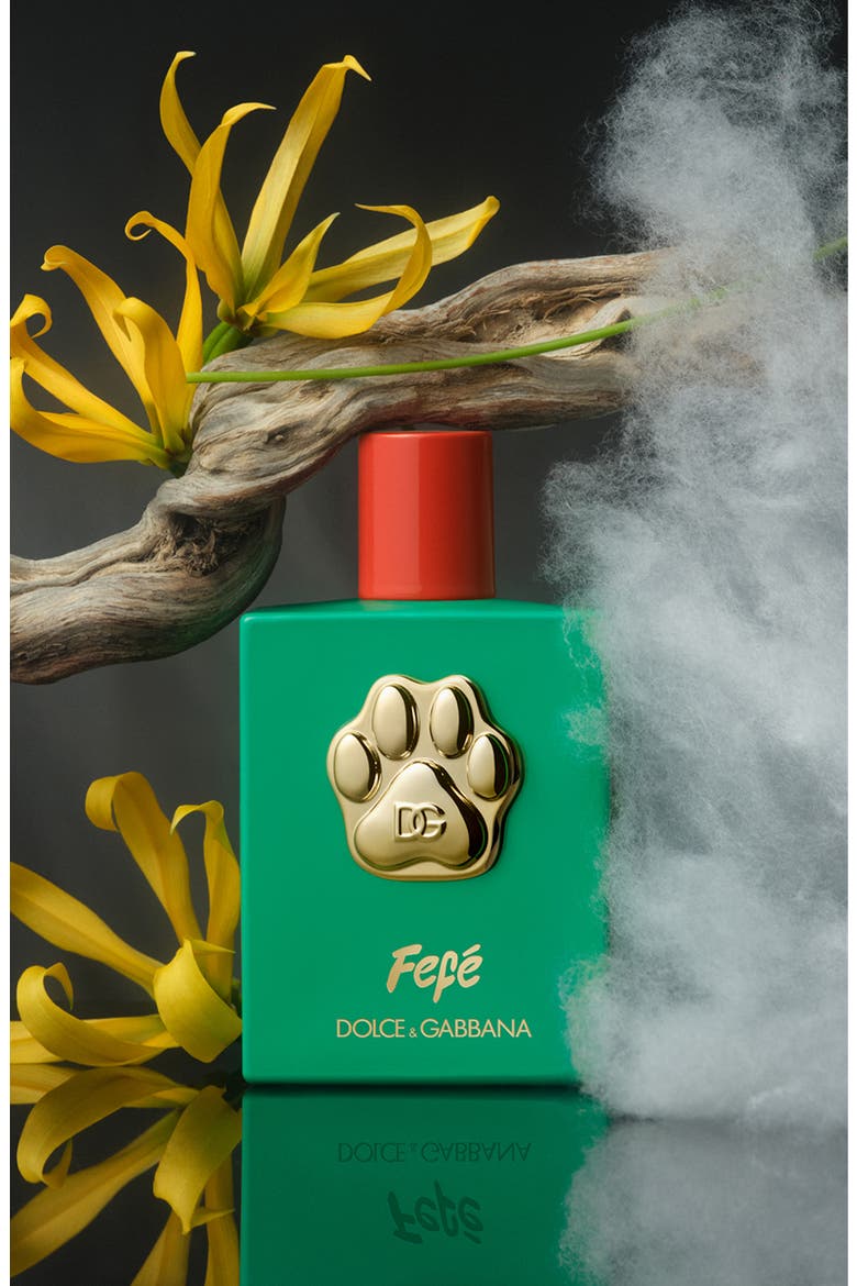 Fefé Fragrance Mist for Dogs, Alternate, color, NO COLOR