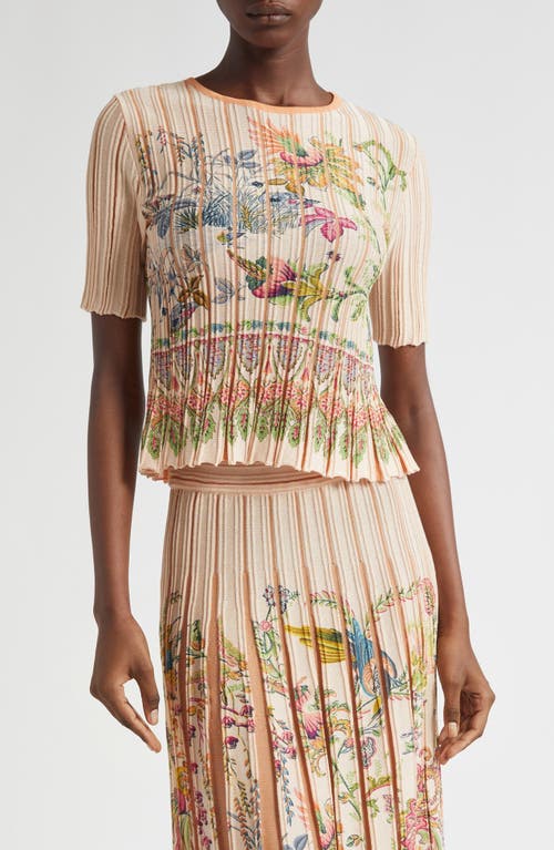 Etro Short Sleeve Sweater In Multi