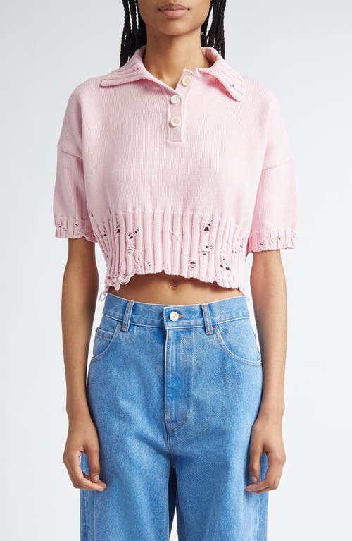 Shop Marni Distressed Cotton Polo Sweater In Pink