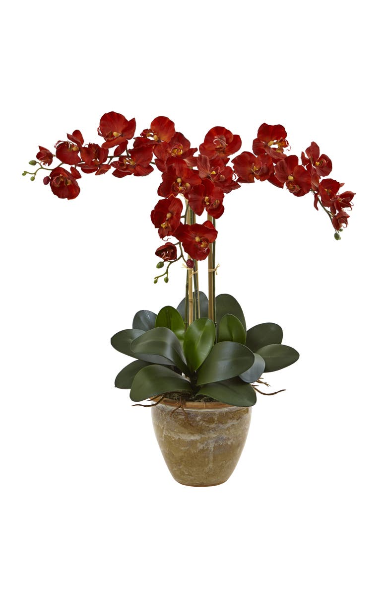 NEARLY NATURAL Triple Stem Phalaenopsis Artificial Arrangement, Seasonal, Main, color, Autumn