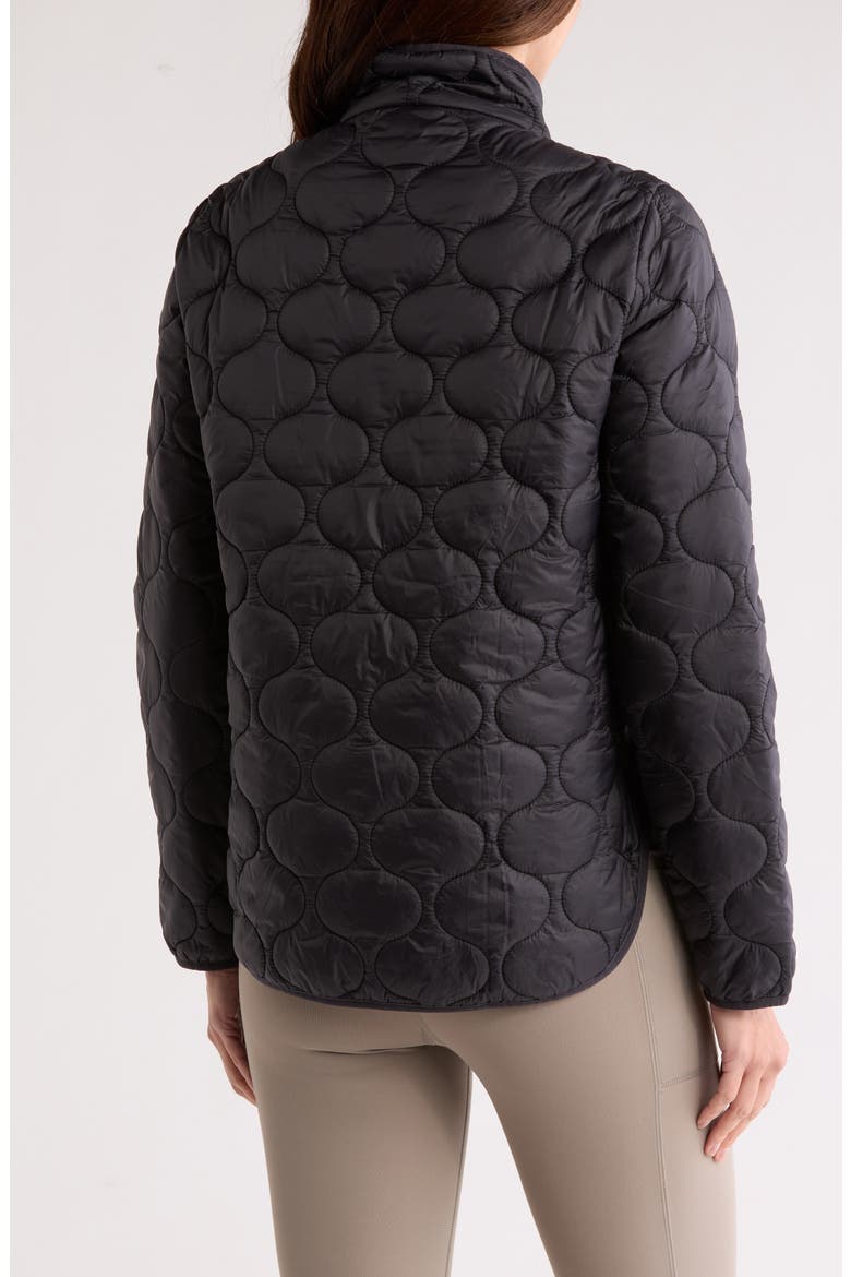 Onion Quilted Jacket, Alternate, color, BLACK