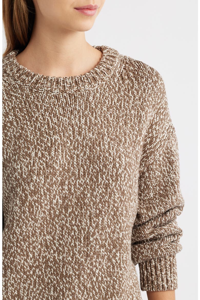 Finley Organic Cotton Crewneck Sweater, Alternate, color, SHITAKE FIOR DI LATTE MARL