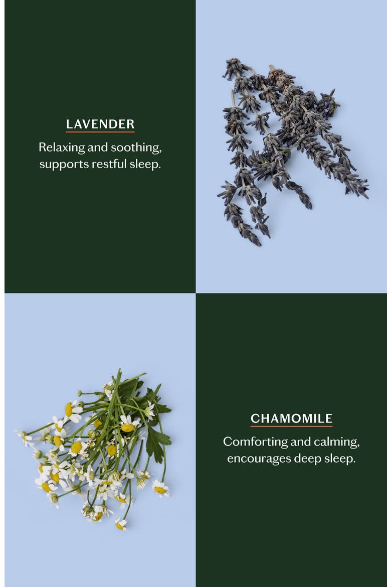 Sleep Stone – Moisturizing Lotion Bar with Lavender & Chamomile, Alternate, color, REFILL