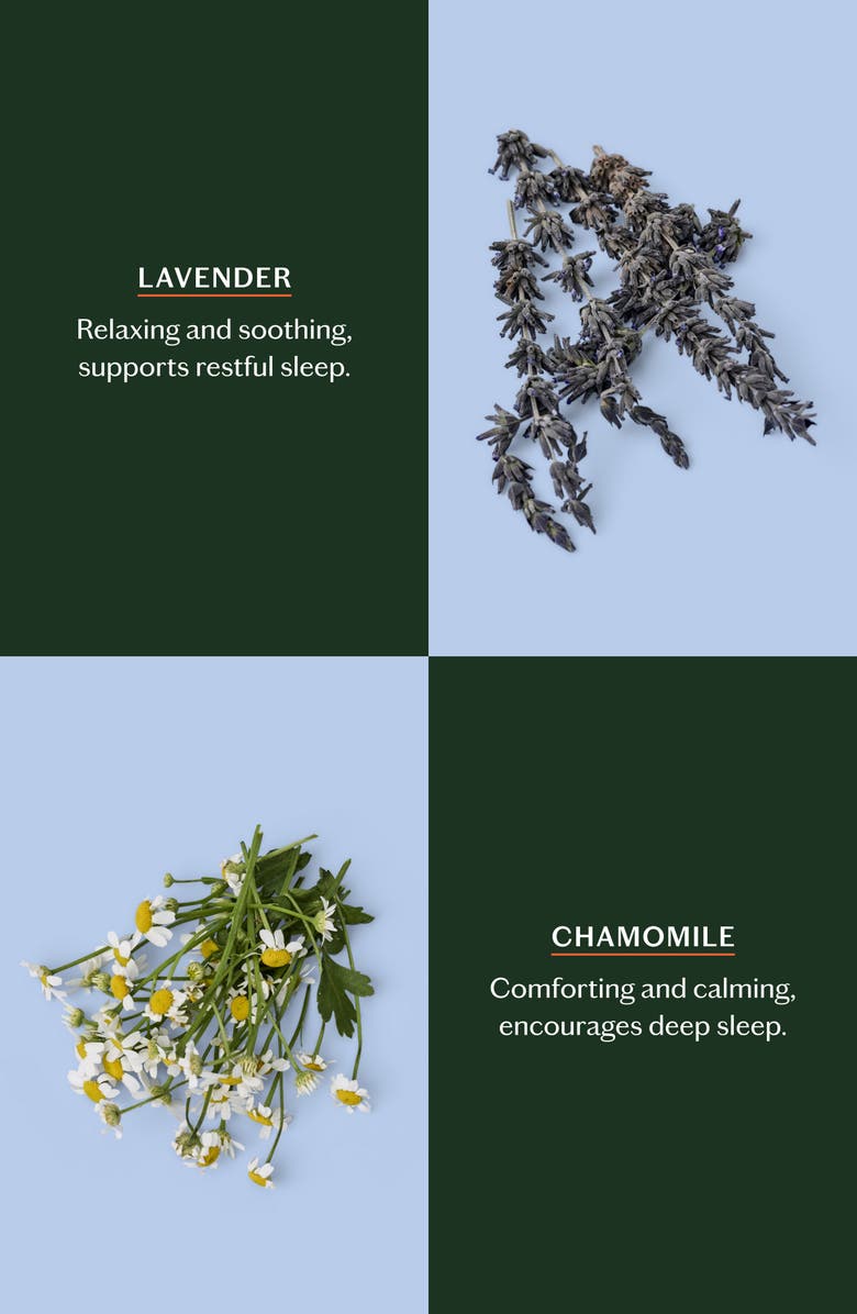 Kate McLeod The Sleep Stone – Body Moisturizer with Lavender & Chamomile, Alternate, color, Starter Kit