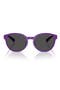 selected Shiny Purple / Dark Grey