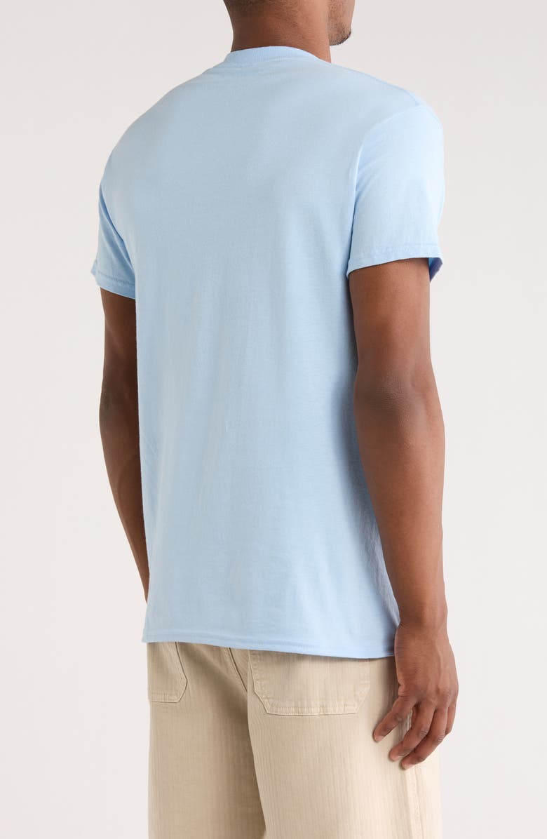 RIOT SOCIETY Dolphin Embroidered Cotton T-Shirt, Alternate, color, Light Blue