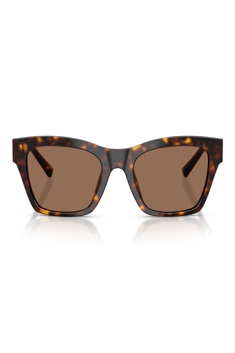 53mm Square Sunglasses, Main, color, HAVANA / DARK BROWN