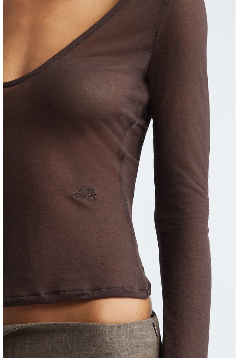 Alfambra Sheer Long Sleeve Top, Alternate, color, BROWN