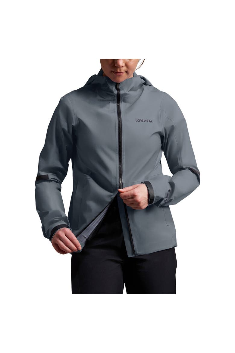 Lupra 2.0 Gore-tex Hooded Jacket - Women's, Alternate, color, Lab Graphite