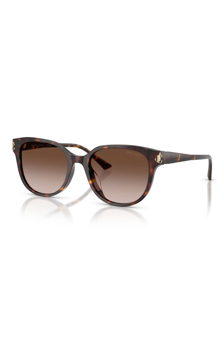 55mm Gradient Phantos Sunglasses, Alternate, color, HAVANA / GRADIENT BROWN