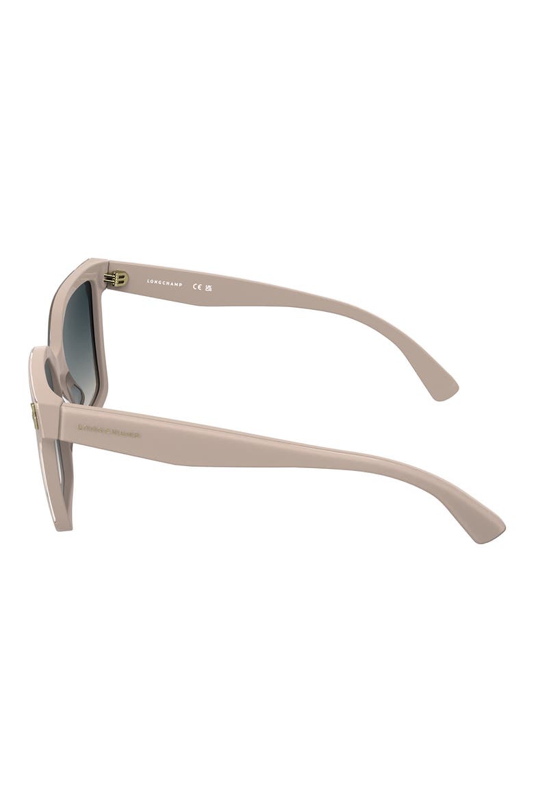 Roseau 55mm Modified Rectangular Sunglasses, Alternate, color, ROSE