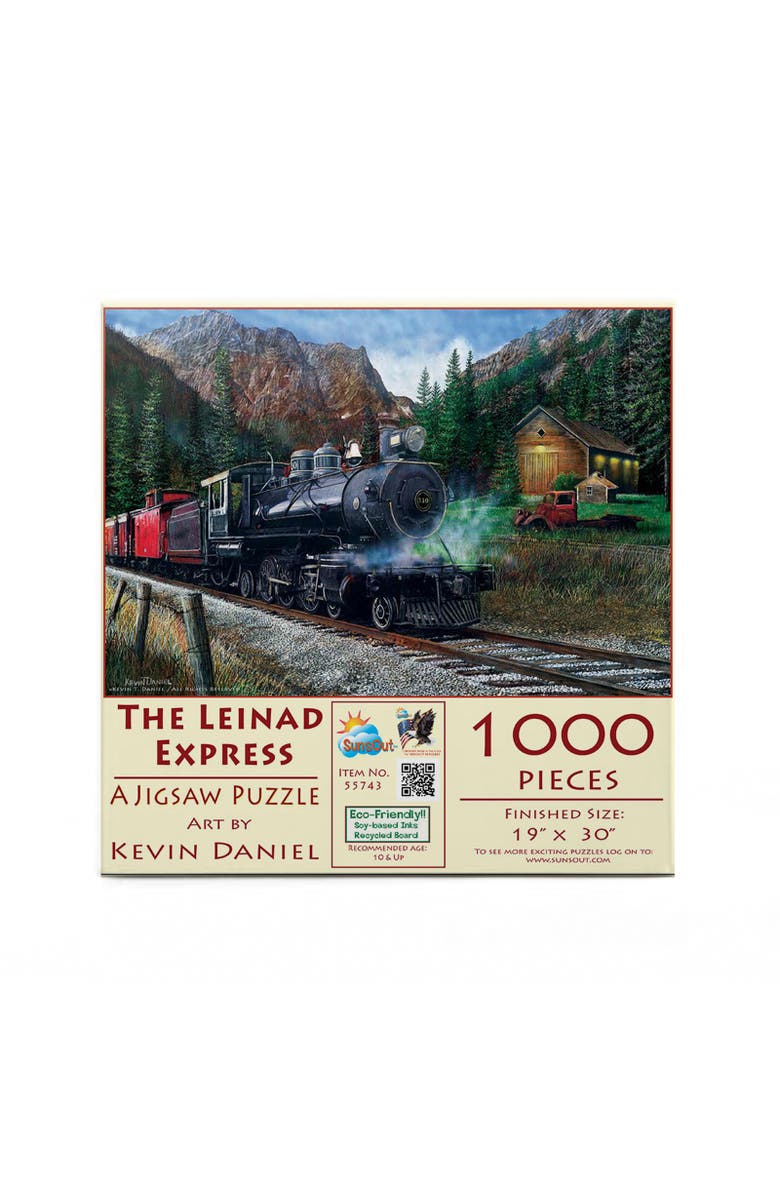 Sunsout The Leinad Express 1000 piece Jigsaw Puzzle for Adults, Alternate, color, Multicolor