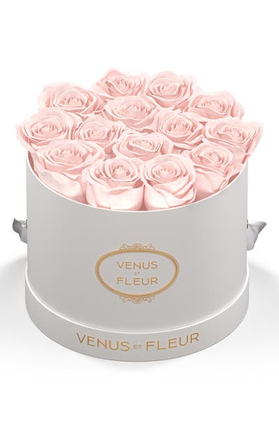 style board product image