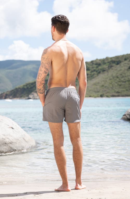 Auto-reply™ Sebastian Solid 4-inch Nylon Swim Trunks In Gray
