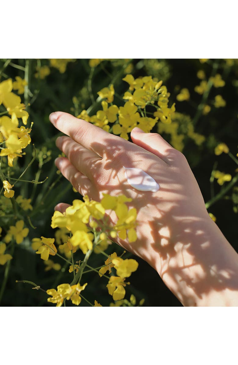 SKANDINAVISK SKOG 75ml Hand Cream, Alternate, color, Green