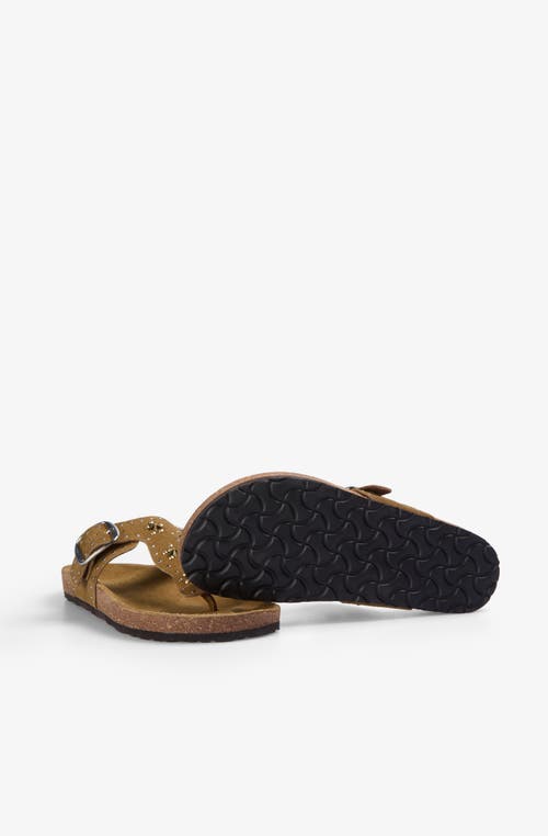 Scalpers Bio T Studs Sandal In Brown