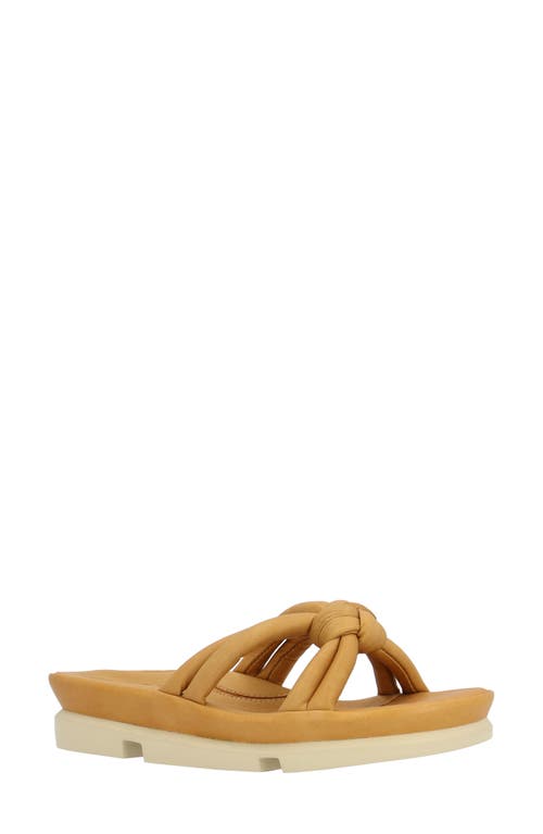 L'amour Des Pieds Veda Sandal In Lioness