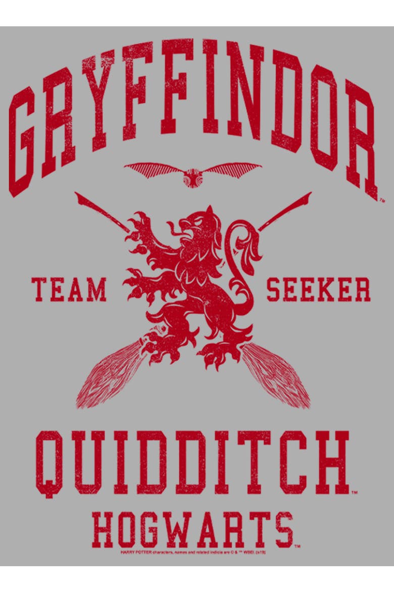 Boy's Harry Potter Gryffindor Quidditch Team Seeker Graphic Tee, Alternate, color, Athletic Heather