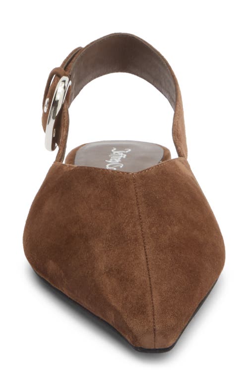 Jeffrey Campbell Scone Slingback Pointed Toe Flat In Brown