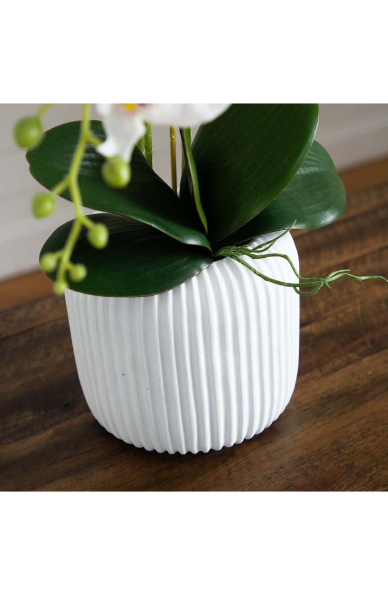 NEARLY NATURAL 26-in Artificial Phalaenopsis Orchid Arrangement in Decorative Ceramic Vase, Alternate, color, White