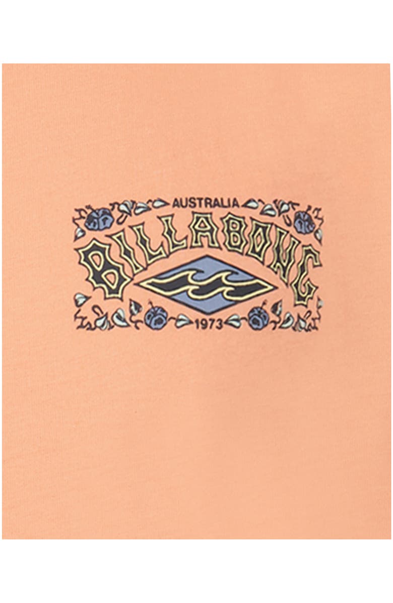 Billabong Kids' Heritage Graphic T-Shirt, Alternate, color, Faded Orange