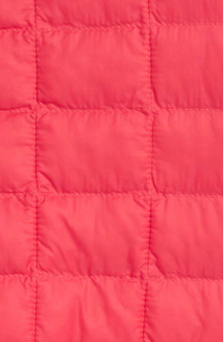 The North Face Kids' ThermoBall<sup>™</sup> Eco Hooded Jacket, Alternate, color, 