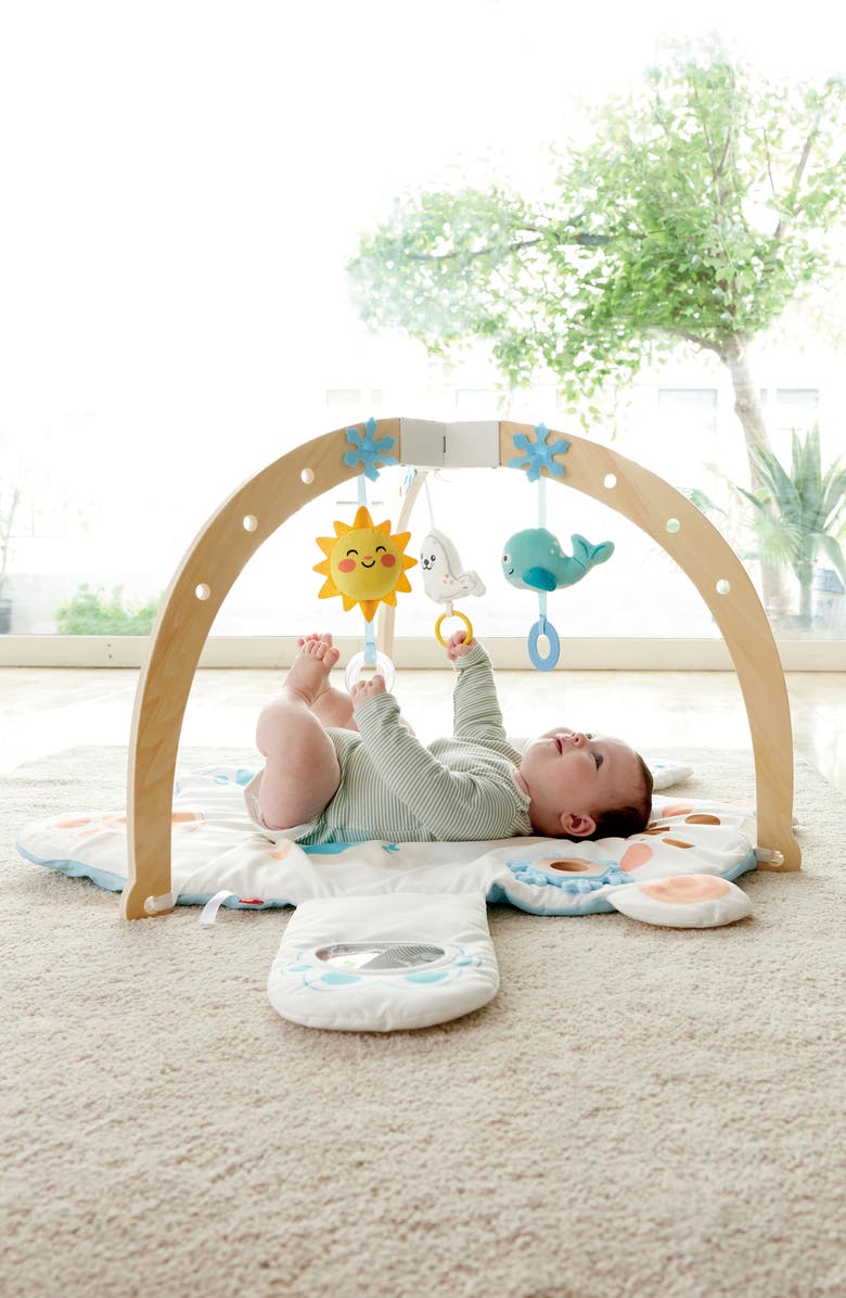 Hape Snuggle Bear Activity Gym, Alternate, color, Multi