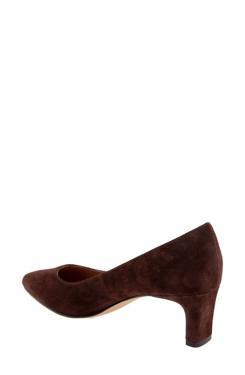 Andre Assous André Assous Wynne Pointed Toe Pump In Cocoa Powder