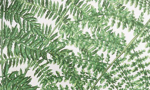 Oscar De La Renta Placed Fern Print Jersey T-shirt Dress In White