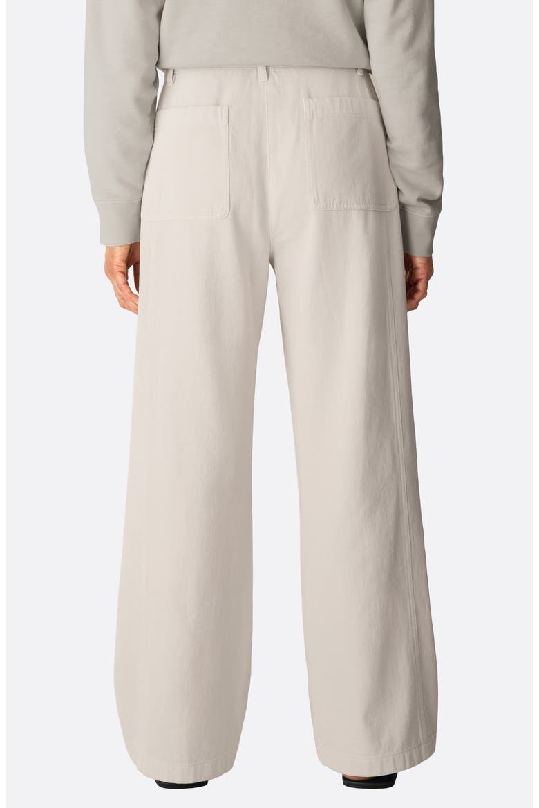 High Waist Wide Leg Organic Cotton Pants, Alternate, color, PALE STRIPE