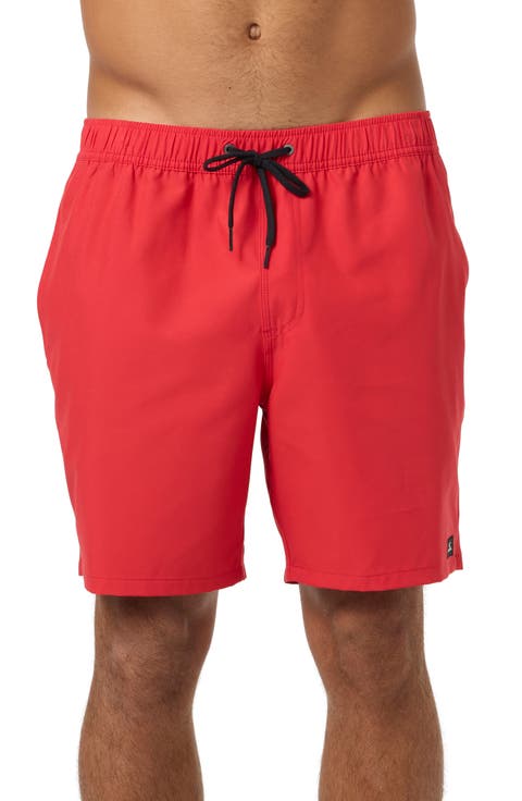 Lennox Hermosa Swim Trunks