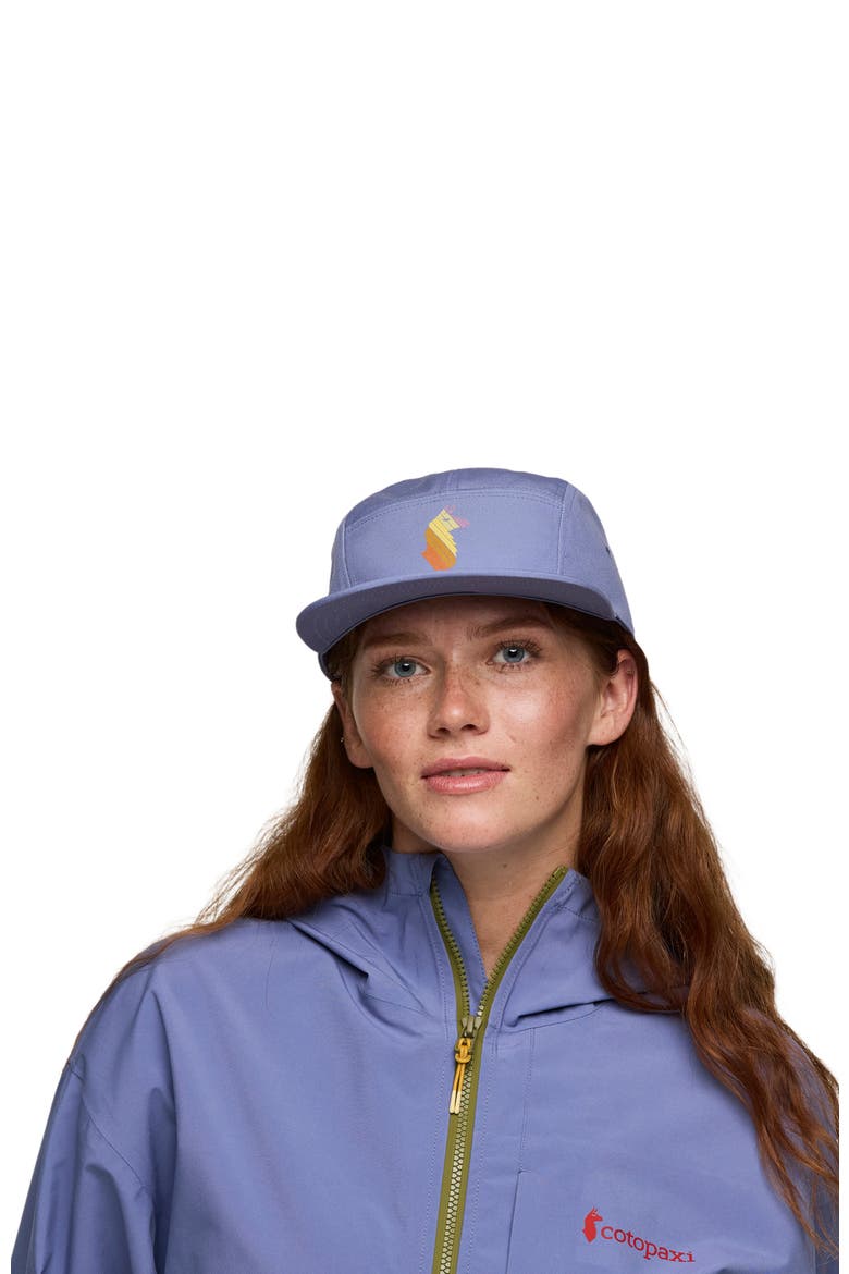 Llama Stripes 5-Panel Hat, Alternate, color, Blue Smoke