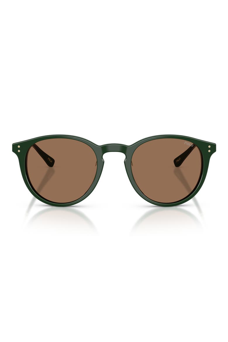 50mm Phantos Sunglasses, Main, color, SOLID GREEN / DARK BROWN