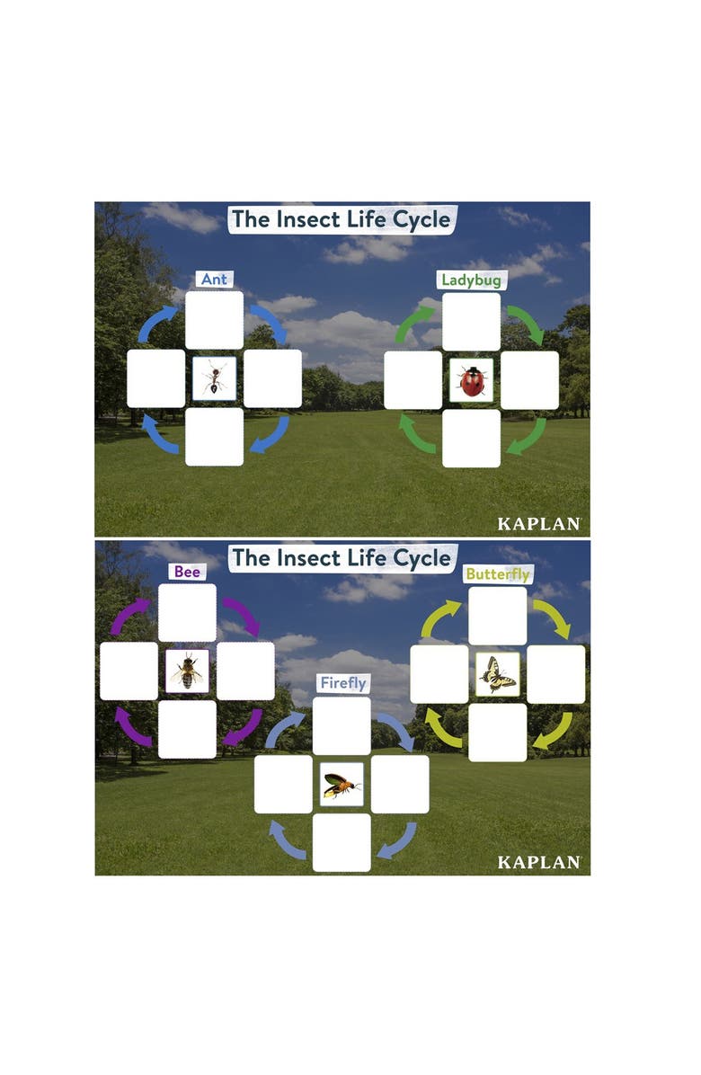 Kaplan Early Learning Company Insect Life Cycle Game - Investigate Bees, Ants, Butterfly and Firefly, Alternate, color, Multicolor