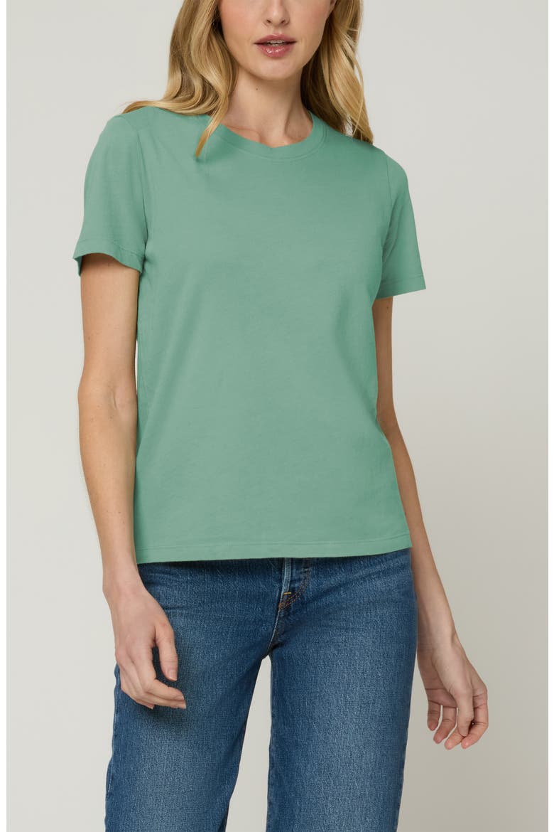 The Organic Cotton Crew Tee, Main, color, Aloe